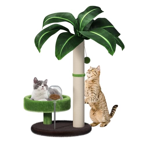 Kratzbaum mit Bett, Katzenbaum Turm Natursisal Katzenkratzbaum Niedlicher Katzenbaum für Kätzchen von MeowHomm