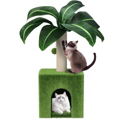 Kratzbaum mit Höhle, Palme Kratzbaum Turm Natursisal Katzenkratzbaum Katzenbett Katzenmöbel für Kätzchen und Katzen von MeowHomm