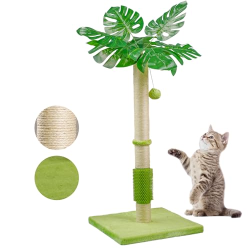 MeowHomm Kratzbaum, Katzenspielzeug Monstera Deliciosa für Indoor-Katzen mit natürlichem Sisal-Kratzstab, hängenden Sisalseilen und Bällen, niedlicher 101,6 cm hoher Katzenkratzer für große Katzen und MeowHomm Kratzbaum, Katzenspielzeug Monstera Deliciosa für Indoor-Katzen mit natürlichem Sisal-Kratzstab, hängenden Sisalseilen und Bällen, niedlicher 101,6 cm hoher Katzenkratzer für große Katzen und von MeowHomm