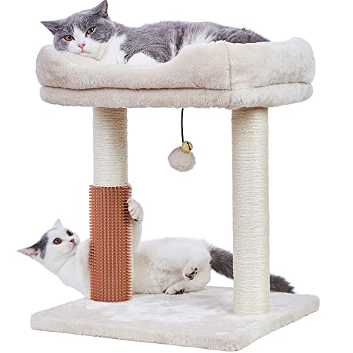MeowSir Kratzbaum für Katzen, 4-in-1, mit großer Sitzstange für Katzen, Beige von MeowSir