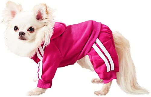 MeowWow Kapuzenpullover für kleine Welpen, Welpen, 4 Beine, Fleece, Sweatshirt, Haustier-Outfit, Mädchen, Winterkleidung, Baumwolle, Welpen-Kapuzenpullover für kleine, mittelgroße Hunde und Katzen von MeowWow