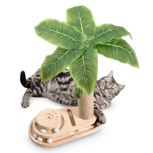 MEOWOOU Kratzsäule, Katzenspielzeug für Wohnungskatzen Kratzstamm Spielzeug für Junge Katzen 45 cm hoher Kratzpfosten für Wohnungskatzen mit Kugelbahn und Bällen Hängender Ball MEOWOOU Kratzsäule, Katzenspielzeug für Wohnungskatzen Kratzstamm Spielzeug für Junge Katzen 45 cm hoher Kratzpfosten für Wohnungskatzen mit Kugelbahn und Bällen Hängender Ball von Meowoou