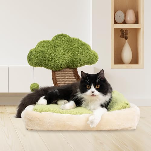 Katzenbett mit Kratzkissen, weiches Bett für Indoor-Katzen, abnehmbares, waschbares Katzenbett von Meowoou