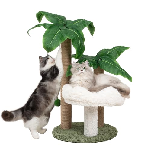 Katzenkratzbaum Palme mit Bett Wolke Katzenbaum für Indoor Große Katzen 3 Kratzstangen Sisal Hängende Bälle für Katzenstange Katzenkratzbaum für Kätzchen und erwachsene Katzen Kleine Katzenturm Kletterer von Meowoou