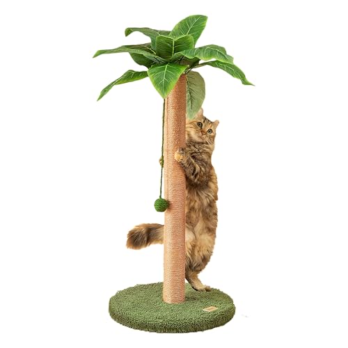 Kratzsäulen 84 cm niedlicher Katzenkratzer Kätzchen Kratzbaum mit Sisalseil für Wohnungskatzen Palmen-Katzenkratzbaum mit baumelnden Bällen für kleine Katzen Kratzsäulen 84 cm niedlicher Katzenkratzer Kätzchen Kratzbaum mit Sisalseil für Wohnungskatzen Palmen-Katzenkratzbaum mit baumelnden Bällen für kleine Katzen von Meowoou