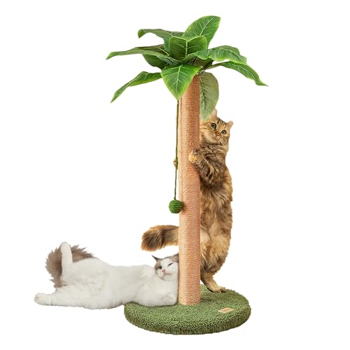 Kratzsäulen für Katzen 33 Zoll niedlicher Katzenkratzer Kätzchen Kratzbaum mit Sisalseil für Wohnungskatzen Palmen-Katzenkratzbaum mit baumelnden Bällen für kleine Katzen von Meowoou