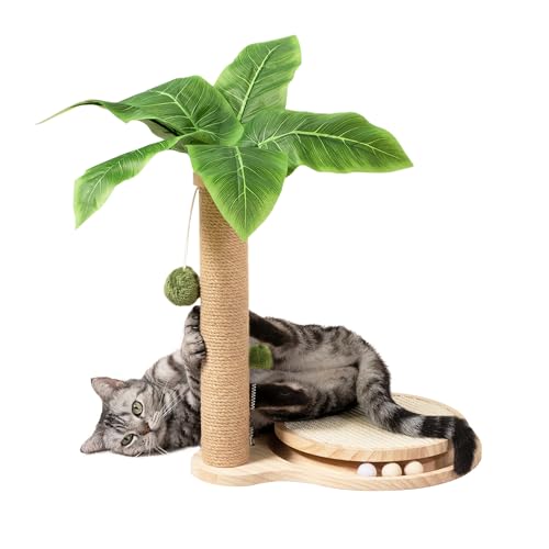 MEOWOOU Katzenkratzbaum, 45 cm, Katzenkratzer für Innenkatzen, Katzenspielzeug für Innenkatzen, Kätzchen, Spielzeug, Kratzunterlage mit Schienenbasis & baumelndem Ball von Meowoou