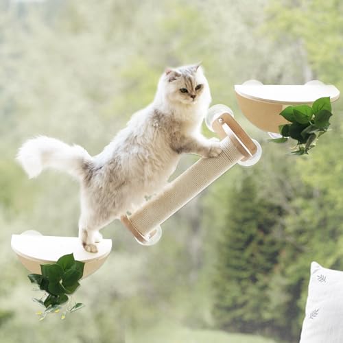 Meowoou 2 x Katzen-Fenster-Saugnäpfe, Sitzstangen-Set 3 Meowoou 2 x Katzen-Fenster-Saugnäpfe, Sitzstangen-Set 3 von Meowoou