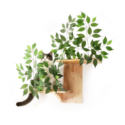 Meowoou Kletterwand Katze, 2 Plattformen als Wandmöbel für Katzen, Wandmontierte Regale, Katzen-Wandliegebereich aus Gummibaum mit Matte, Wandregale zum Klettern, Schlafen, Spielen und zur Dekoration Meowoou Kletterwand Katze, 2 Plattformen als Wandmöbel für Katzen, Wandmontierte Regale, Katzen-Wandliegebereich aus Gummibaum mit Matte, Wandregale zum Klettern, Schlafen, Spielen und zur Dekoration von Meowoou