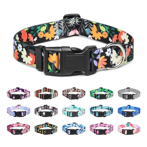 Mercano Hundehalsband Verstellbares, Weich Nylon Komfort & Robuster Gemustertes Hunde Halsband für Kleine Mittlere Große Hunde Welpen Katzen (L, Blumenorange) von Mercano