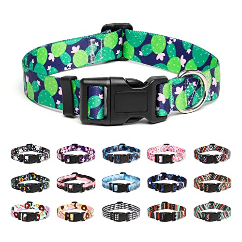 Mercano Hundehalsband Verstellbares, Weich Nylon Komfort & Robuster Gemustertes Hunde Halsband für Kleine Mittlere Große Hunde Welpen Katzen (L, Kaktus) von Mercano