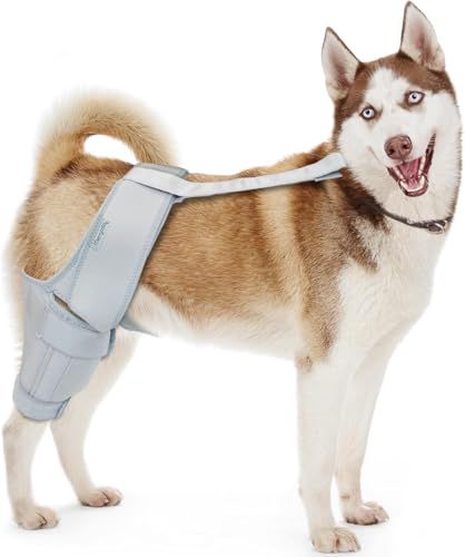 MerryMilo Hundekniebandage, gerissenes ACL Hinterbein, Hundehüftbandage, Hundebeinbandage, Kreuzpflege Kniebandage für Hunde, Größe:XXL MerryMilo Hundekniebandage, gerissenes ACL Hinterbein, Hundehüftbandage, Hundebeinbandage, Kreuzpflege Kniebandage für Hunde, Größe:XXL von MerryMilo