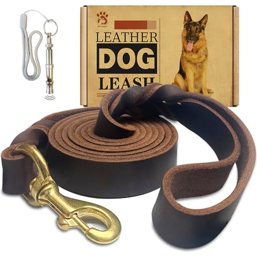 Hundeleine aus Leder, 1,8 m x 2,5 cm, robust, geflochtenes Echtleder, weich und bequem für große Hunde, mittelgroße und kleine Hunde (Braun, 1,8 m x 2,5 cm) von Meruogkar