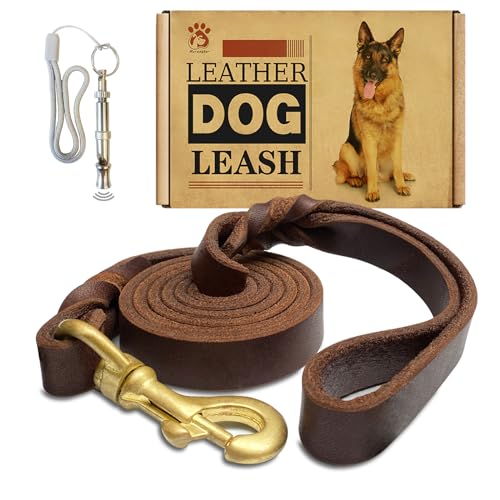 Leder-Hundeleine, 1,2 m x 1,9 cm, starkes, strapazierfähiges Echtleder, geflochtene Trainingsleine, weich und bequem für große Hunde, mittelgroße und kleine Hunde (Braun, 1,2 x 1,9 cm) von Meruogkar