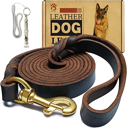 Leder-Hundeleine, 1,8 m x 1,9 cm, robust, geflochtenes Echtleder, weich und bequem, Lederleine für große Hunde, mittelgroße und kleine Hunde, Braun von Meruogkar
