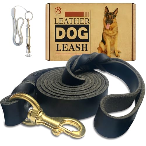 Hundeleine aus Leder, 1,8 m x 2,5 cm, robust, geflochtenes Echtleder, weich und bequem für große Hunde, mittelgroße und kleine Hunde, Schwarz, 1,8 m x 2,5 cm von Meruogkar