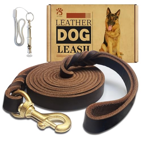 Leder-Hundeleine, 2,4 m x 1,9 cm, robust, geflochtenes Echtleder, weich und bequem für große Hunde, mittelgroße und kleine Hunde, Braun, 2,4 m x 1,9 cm Leder-Hundeleine, 2,4 m x 1,9 cm, robust, geflochtenes Echtleder, weich und bequem für große Hunde, mittelgroße und kleine Hunde, Braun, 2,4 m x 1,9 cm von Meruogkar
