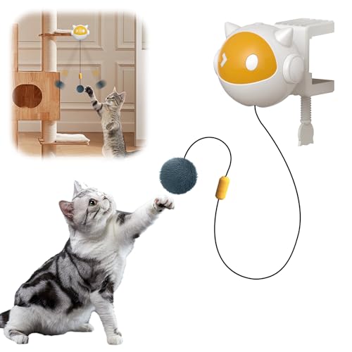 Mesen Interaktives Katzenspielzeug für geschlossene Katzen, hängendes automatisches Kätzchen einziehbares Seil, automatisches Mental-Trainingsspielzeug für Welpen für kleine und mittlere Kätzchen, Mesen Interaktives Katzenspielzeug für geschlossene Katzen, hängendes automatisches Kätzchen einziehbares Seil, automatisches Mental-Trainingsspielzeug für Welpen für kleine und mittlere Kätzchen, von Mesen