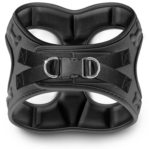 Comfort Fit Step-in Hundegeschirr & Welpengeschirr – Bequemes Allwetter-Hundegeschirr: verstellbar, weich gepolstert, einfach anzuziehen für kleine, mittelgroße Hunde Comfort Fit Step-in Hundegeschirr & Welpengeschirr – Bequemes Allwetter-Hundegeschirr: verstellbar, weich gepolstert, einfach anzuziehen für kleine, mittelgroße Hunde von Metric USA