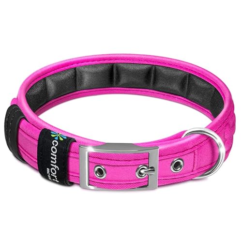 Comfort Fit Weich Gepolstertes Hundehalsband mit verstellbarer Schnalle – Leichtes, atmungsaktives Hundetrainingshalsband mit anpassbarer Passform – strapazierfähiges, robustes Hundehalsband Comfort Fit Weich Gepolstertes Hundehalsband mit verstellbarer Schnalle – Leichtes, atmungsaktives Hundetrainingshalsband mit anpassbarer Passform – strapazierfähiges, robustes Hundehalsband von Metric USA