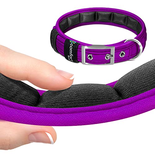 Metric USA Comfort Fit Weich gepolsterte Hundehalsbänder mit Schnalle Verstellbares Komfort-Halsband für kleine, mittelgroße und große Hunde (lila, L) von Metric USA