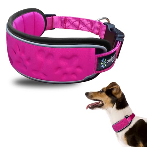 Reflektierendes Hundehalsband mit bequemer, weicher, abnehmbarer Polsterung, verstellbar für kleine und mittelgroße Hunde, Schnellverschluss-Schnalle, Hundehalsband, Welpenhalsband (Rosa, Halsumfang Reflektierendes Hundehalsband mit bequemer, weicher, abnehmbarer Polsterung, verstellbar für kleine und mittelgroße Hunde, Schnellverschluss-Schnalle, Hundehalsband, Welpenhalsband (Rosa, Halsumfang von Metric USA