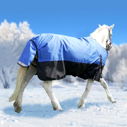 Meulbaty Winterdecke 1200D | atmungsaktive & wasserdichte Outdoordecke mit Innenfutter & Kreuzbegurtung | Blau in Größe 135cm Meulbaty Winterdecke 1200D | atmungsaktive & wasserdichte Outdoordecke mit Innenfutter & Kreuzbegurtung | Blau in Größe 135cm von Meulbaty