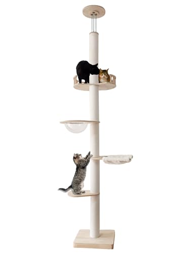 Boden bis zur Decke Katzenbäume Multi-Play Katzen Kletterbäume mit Sisal Kratzbaum, 5 Etagen Katzenkletterturm mit transparenter Kapsel Katzenbett, Deckenhöhe bis zu 112 Zoll von MewJoyee