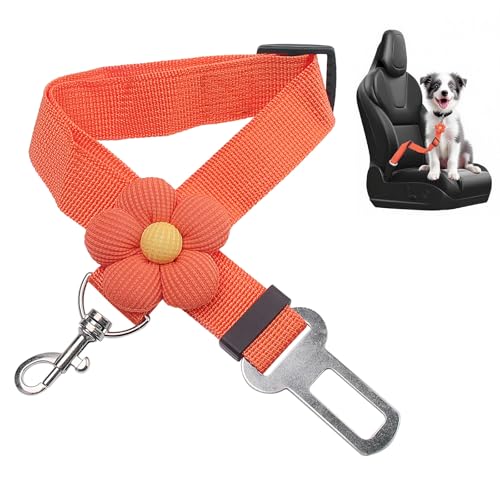MewZoo Hunde-Sicherheitsgurte fürs Auto, Verstellbarer Hunde-Sicherheitsgurt fürs Auto, 360-Grad-Drehgelenk, verwicklungsfrei, einfach zu verwendende Haustier-Sicherheitsgurte – Orange MewZoo Hunde-Sicherheitsgurte fürs Auto, Verstellbarer Hunde-Sicherheitsgurt fürs Auto, 360-Grad-Drehgelenk, verwicklungsfrei, einfach zu verwendende Haustier-Sicherheitsgurte – Orange von MewZoo