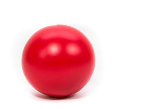 Mewogs Treibball Treib Ball für Hunde Ø 25cm rot Mewogs Treibball Treib Ball für Hunde Ø 25cm rot von Mewogs