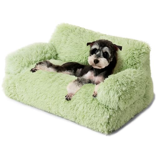 Mewoo Hundesofa, kleines Hundebett mit abnehmbarem, waschbarem Bezug, niedliche Katzen-Couch für Haustiere, Katzenbetten für Indoor-Katzen mit rutschfester Unterseite (Grün) von Mewoo