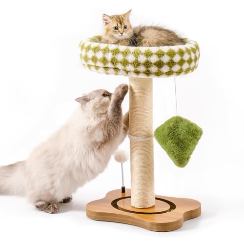 Mewoo Katzenkratzbaum mit Bett, Katzenturm mit Katzenkratzbaum, Kleiner Katzenbaum für Indoor-Katzen, Sisal-Kratzbaum mit Abnehmbarer Katzen-Sitzstange, Katzenballbahn und Kätzchenspielzeug (Grün, Mewoo Katzenkratzbaum mit Bett, Katzenturm mit Katzenkratzbaum, Kleiner Katzenbaum für Indoor-Katzen, Sisal-Kratzbaum mit Abnehmbarer Katzen-Sitzstange, Katzenballbahn und Kätzchenspielzeug (Grün, von Mewoo