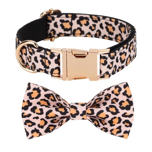 Mewtwo Hundehalsband, Metallschnalle, Geschenk für kleine, mittelgroße und große Jungen, Mädchen, Hunde, Leopardenmuster, XL von Mewtwo