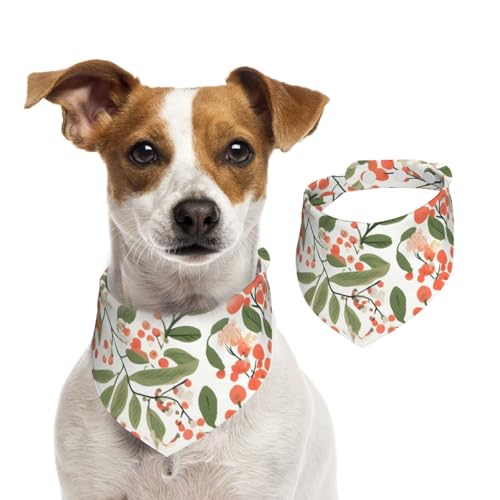 Plant Fruits Hundehalstuch, Katzen-Halstuch, 1 Stück, Hundezubehör für kleine Hunde von Mexpekil