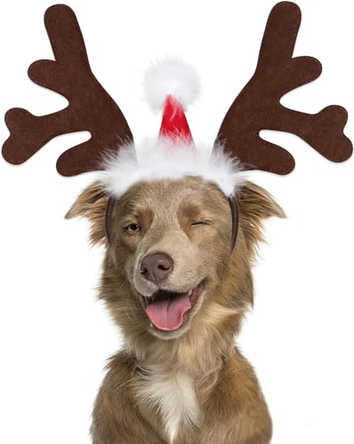 Mfsdai Rentier Haarreif Geweihe Elch Kopfschmuck mit Weihnachtsmütze,Verstellbare Weihnachtskopfbedeckung Verkleidungen & Kostüm Geschenk für Hunde Katzen von Mfsdai