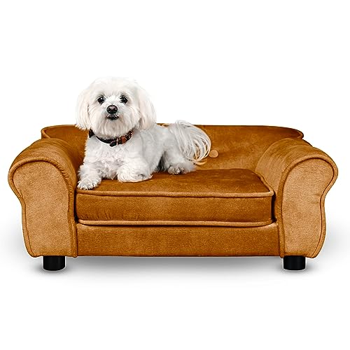 Hunde Bett, Katzen Bett orange - Sofa für Hund, mit Armlehnen, Rückenlehne, aus strapazierfähigem Veloursstoff - dekoratives Sofa Klein für Kleintiere, für Katze, hundebett mittelgroße hunde Hunde Bett, Katzen Bett orange - Sofa für Hund, mit Armlehnen, Rückenlehne, aus strapazierfähigem Veloursstoff - dekoratives Sofa Klein für Kleintiere, für Katze, hundebett mittelgroße hunde von Mg Design