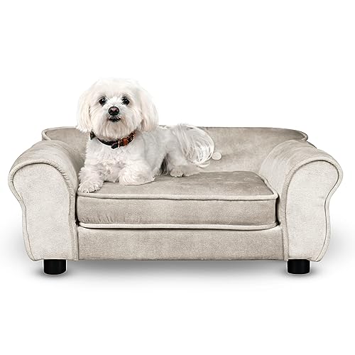 Mg Design Hunde Bett, Katzen Bett weiß - Sofa für Hund, mit Armlehnen, Rückenlehne, aus strapazierfähigem Veloursstoff - dekoratives Sofa Klein für Kleintiere, für Katze, hundebett mittelgroße Hunde Mg Design Hunde Bett, Katzen Bett weiß - Sofa für Hund, mit Armlehnen, Rückenlehne, aus strapazierfähigem Veloursstoff - dekoratives Sofa Klein für Kleintiere, für Katze, hundebett mittelgroße Hunde von Mg Design