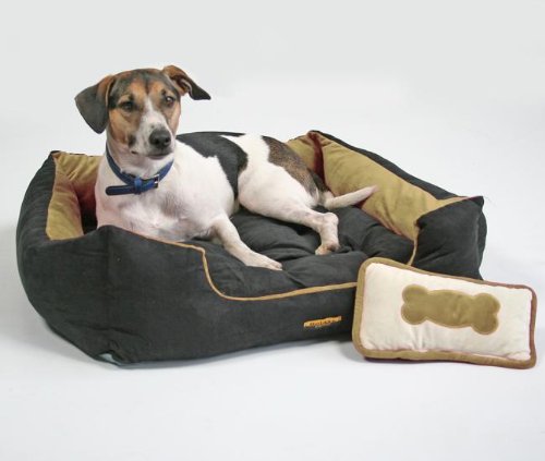 Pet-Star Bett/Kissen OHIO, 72 cm, Schlafplatz, Hundebett Pet-Star Bett/Kissen OHIO, 72 cm, Schlafplatz, Hundebett von Mhlan Zoobedarf