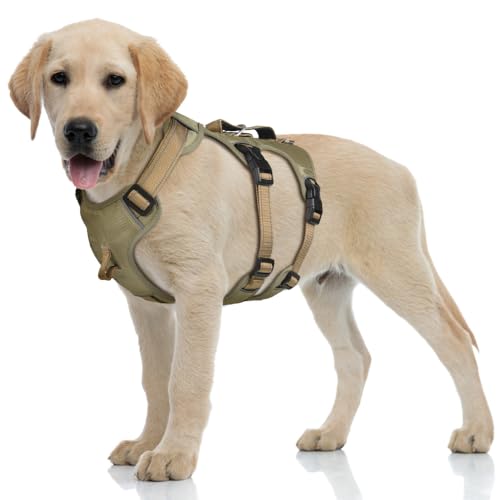 Ausbruchsicheres Hundegeschirr, Kein Zuggeschirr, Atmungsaktive Hundeweste, Reflektierendes Geschirr mit Gepolstertem Griff für Mittelgroße und Große Hunde Training Laufen Ausbruchsicheres Hundegeschirr, Kein Zuggeschirr, Atmungsaktive Hundeweste, Reflektierendes Geschirr mit Gepolstertem Griff für Mittelgroße und Große Hunde Training Laufen von MiOYOOW