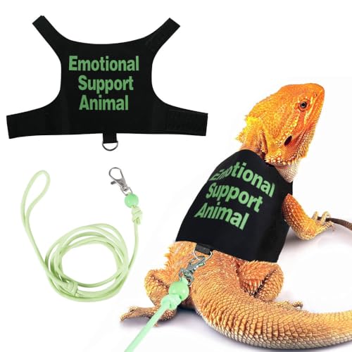 Bartagamen Geschirr-und Leinen Set, Verstellbares Reptilien Geschirr mit 1,47 M Leine, Eidechsen Kostüm für Reptilien, Eidechsen, Gehtraining Im Innen- und Außenbereich von MiOYOOW