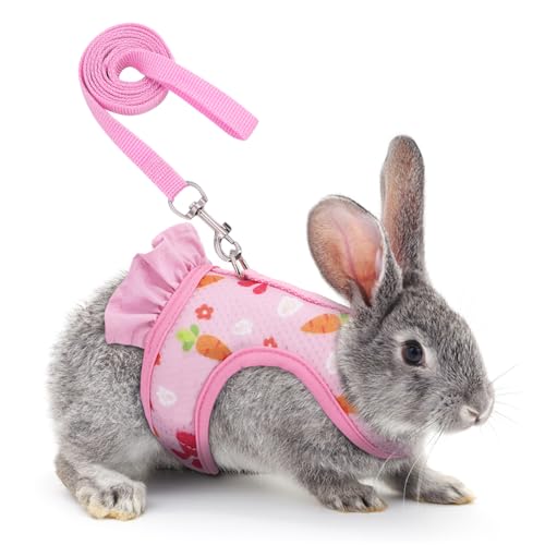 Hasenwesten Geschirr, Verstellbares Kaninchen Geschirr und Leine, Atmungsaktives Netzwesten Softgeschirr Hasenleine für Hasen, Kätzchen, Meerschweinchen, Chinchillas Hasenwesten Geschirr, Verstellbares Kaninchen Geschirr und Leine, Atmungsaktives Netzwesten Softgeschirr Hasenleine für Hasen, Kätzchen, Meerschweinchen, Chinchillas von MiOYOOW
