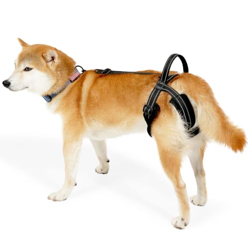Hunde Hebegeschirr, Verstellbare Hunde Gehhilfe, Reflektierende Hunde Hinterbeinstütze mit Stützgriff für Verletzte Behinderte Kleine, Mittlere und Große Hunde Hunde Hebegeschirr, Verstellbare Hunde Gehhilfe, Reflektierende Hunde Hinterbeinstütze mit Stützgriff für Verletzte Behinderte Kleine, Mittlere und Große Hunde von MiOYOOW