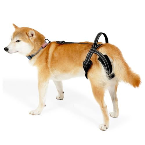Hunde Hebegeschirr, Verstellbare Hunde Gehhilfe, Reflektierende Hunde Hinterbeinstütze mit Stützgriff für Verletzte Behinderte Kleine, Mittlere und Große Hunde Hunde Hebegeschirr, Verstellbare Hunde Gehhilfe, Reflektierende Hunde Hinterbeinstütze mit Stützgriff für Verletzte Behinderte Kleine, Mittlere und Große Hunde von MiOYOOW