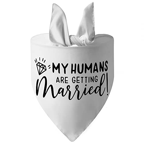 Hunde Verlobungs Bandana,Atmungsaktiver Hunde Hochzeits Foto Requisiten Schal Tragbar Waschbar Katzen Hochzeits Verlobungs Halstuch Mit Meinen Menschen Werden Heiraten Sie Sagte Ja Hunde Verlobungs Bandana,Atmungsaktiver Hunde Hochzeits Foto Requisiten Schal Tragbar Waschbar Katzen Hochzeits Verlobungs Halstuch Mit Meinen Menschen Werden Heiraten Sie Sagte Ja von MiOYOOW