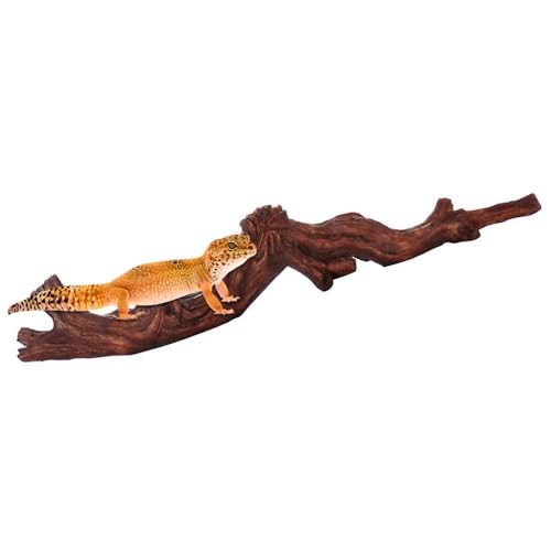 Kletterast für Reptilien, Kletterbaum aus Kunstharz, Reptilien Kletterspielzeug, Haustierständer Eidechsen Terrarium Kletterzweige für Bartagamen, Echsen, Schildkröten, Schlangen, Frösche Kletterast für Reptilien, Kletterbaum aus Kunstharz, Reptilien Kletterspielzeug, Haustierständer Eidechsen Terrarium Kletterzweige für Bartagamen, Echsen, Schildkröten, Schlangen, Frösche von MiOYOOW