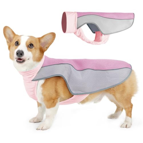 Kühlweste für Hunde, Atmungsaktives Kühljacke für Hunde mit Reflektierenden Streifen für Große und Mittelgroße Hunde Kühlweste für Hunde, Atmungsaktives Kühljacke für Hunde mit Reflektierenden Streifen für Große und Mittelgroße Hunde von MiOYOOW