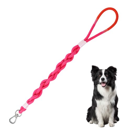 Kurze Hundeleine, 2,6 Fuß Hundeleine aus Geflochtenem Seil mit 360° Drehbarem Haken und Rutschfestem Griff, Hunde Trainingsleine für Kleine Mittelgroße und Große Hunde Kurze Hundeleine, 2,6 Fuß Hundeleine aus Geflochtenem Seil mit 360° Drehbarem Haken und Rutschfestem Griff, Hunde Trainingsleine für Kleine Mittelgroße und Große Hunde von MiOYOOW