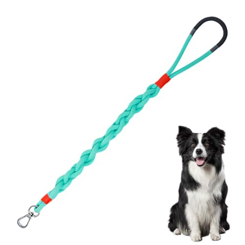 Kurze Hundeleine, 2,6 Fuß Hundeleine aus Geflochtenem Seil mit 360° Drehbarem Haken und Rutschfestem Griff, Hunde Trainingsleine für Kleine Mittelgroße und Große Hunde von MiOYOOW