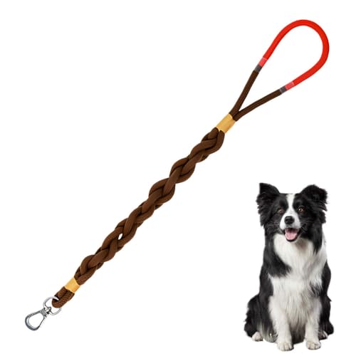 Kurze Hundeleine, 2,6 Fuß Hundeleine aus Geflochtenem Seil mit 360° Drehbarem Haken und Rutschfestem Griff, Hunde Trainingsleine für Kleine Mittelgroße und Große Hunde Kurze Hundeleine, 2,6 Fuß Hundeleine aus Geflochtenem Seil mit 360° Drehbarem Haken und Rutschfestem Griff, Hunde Trainingsleine für Kleine Mittelgroße und Große Hunde von MiOYOOW