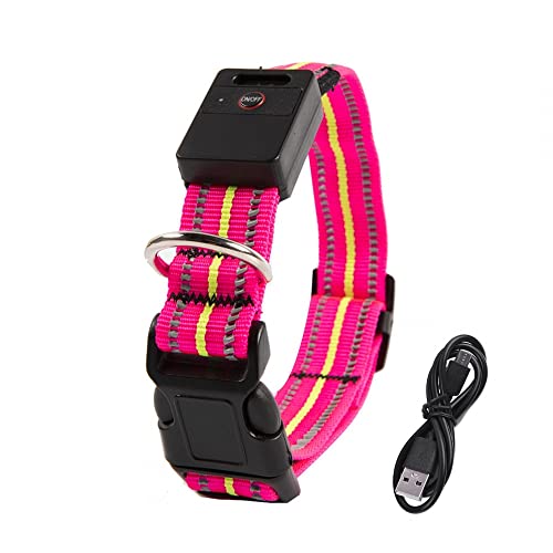 LED Dog Collar, pet Glow Collar USB Rechargeable Reflective Weatherproof Safety Dog Collar for Small Medium Large Dogs(Include Battery) von MiOYOOW